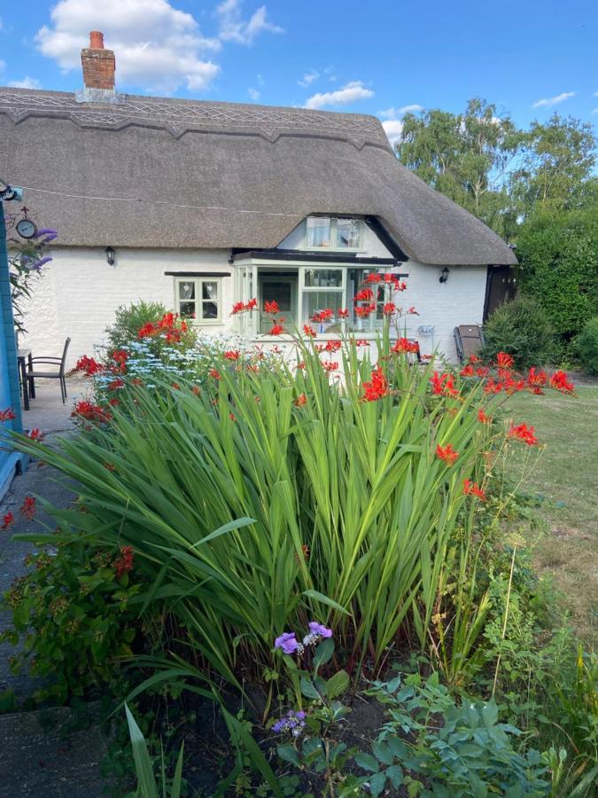 Thatch Cottage, East Boldre Nr Beaulieu And Lymington Brockenhurst Eksteriør bilde